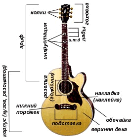 Устройство гитары
